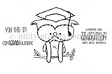 Owl Graduate