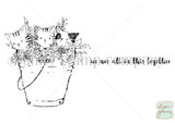 A Bucket of Kittens