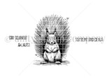 Stay Squirrelly